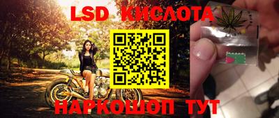 крисы Пенза