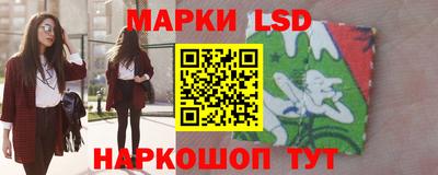 крисы Пенза