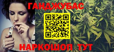 крисы Пенза