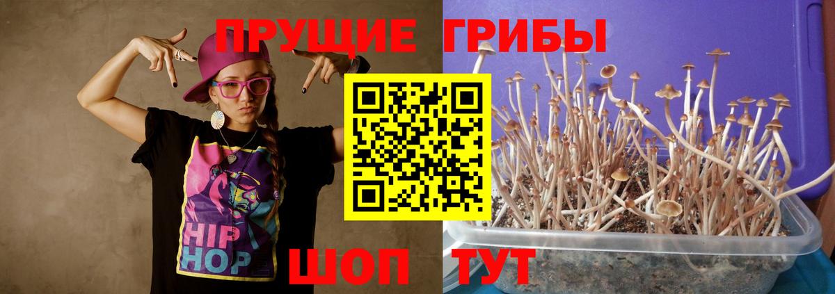 наркошоп  Галлюциногенные грибы прущие грибы  Вход с VPN  Алушта 